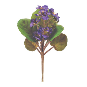 African Violet Flower Bush Set of 4