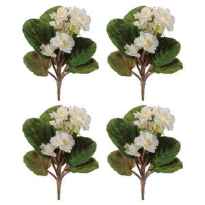 African Violet Flower Bush (Set of 4)