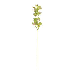Cymbidium Orchid Flower Stem (Set of 2)