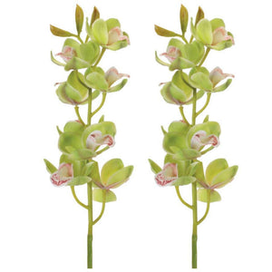 Cymbidium Orchid Flower Stem (Set of 2)