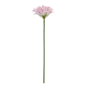 Agapanthus Flower Stem Set of 2