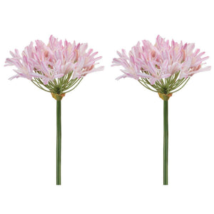 Agapanthus Flower Stem Set of 2
