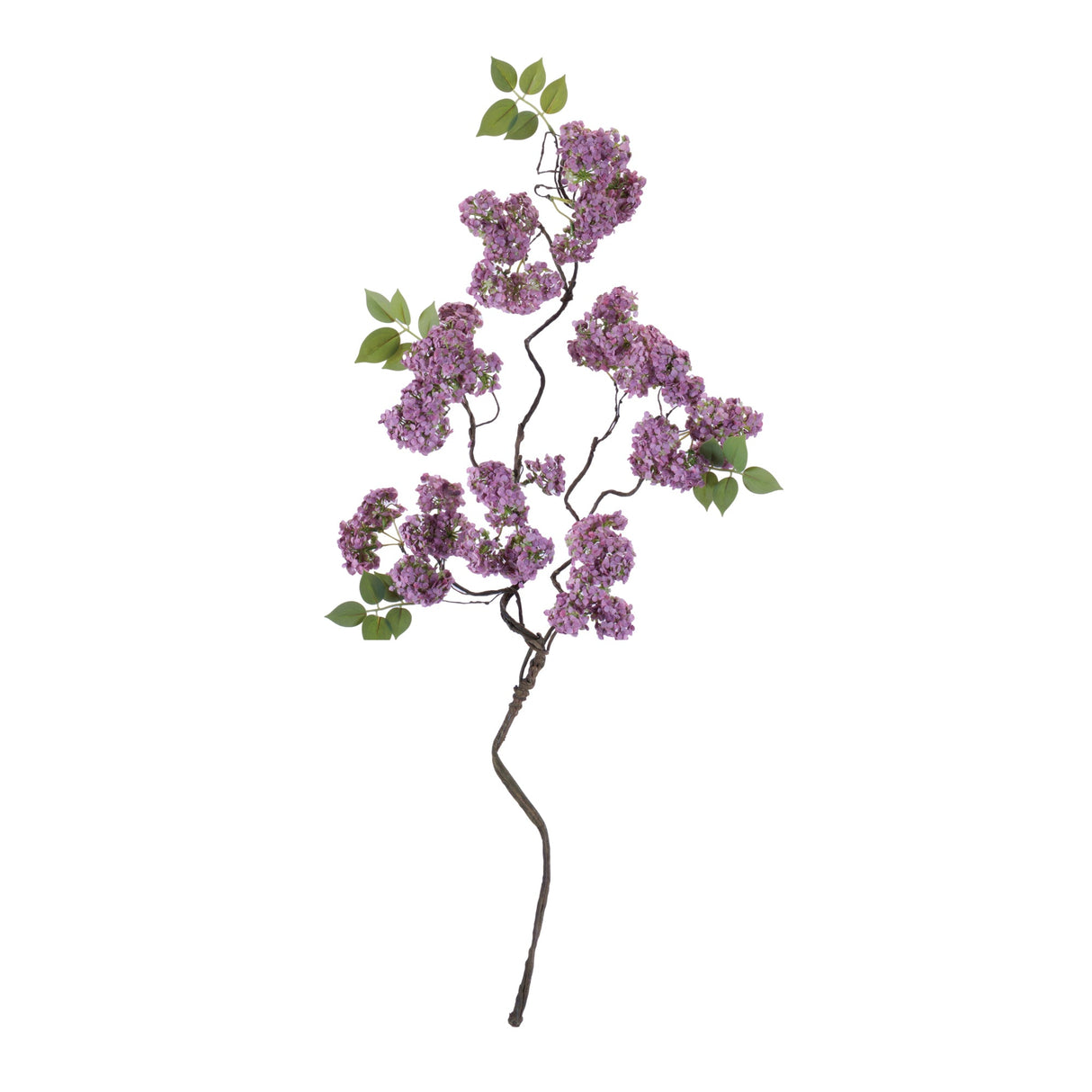 Floral Twig Branch Set - 2