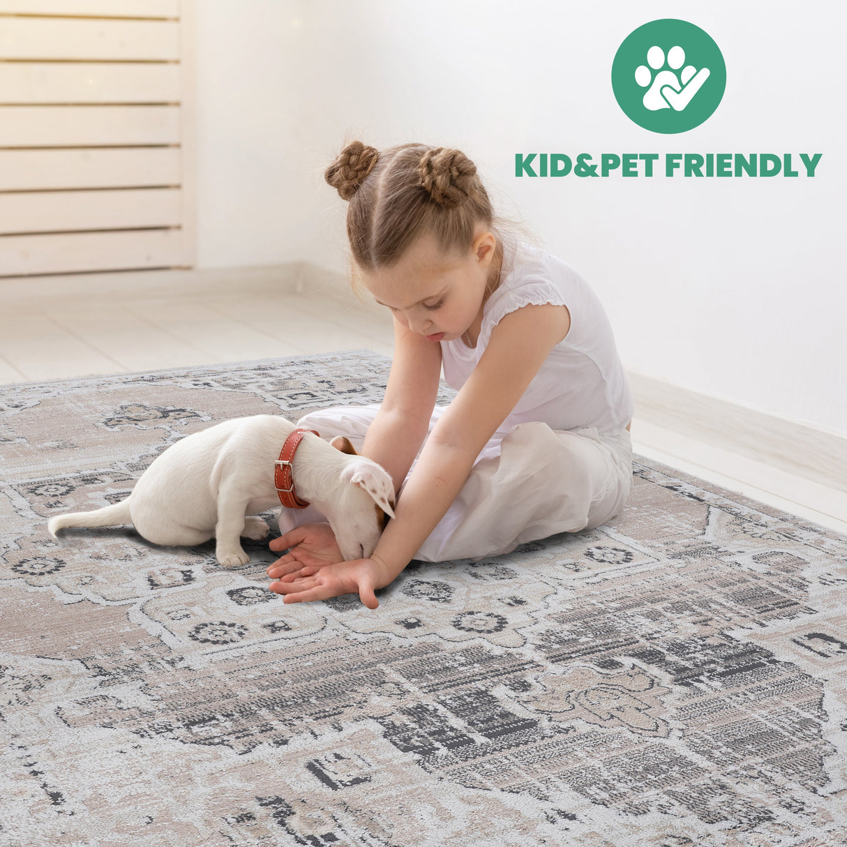 NAAR PAYAS Collection Medallion Non-Shedding  and Stain Resistant Area Rug