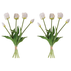 Tulip Floral Bundle (Set of 2)