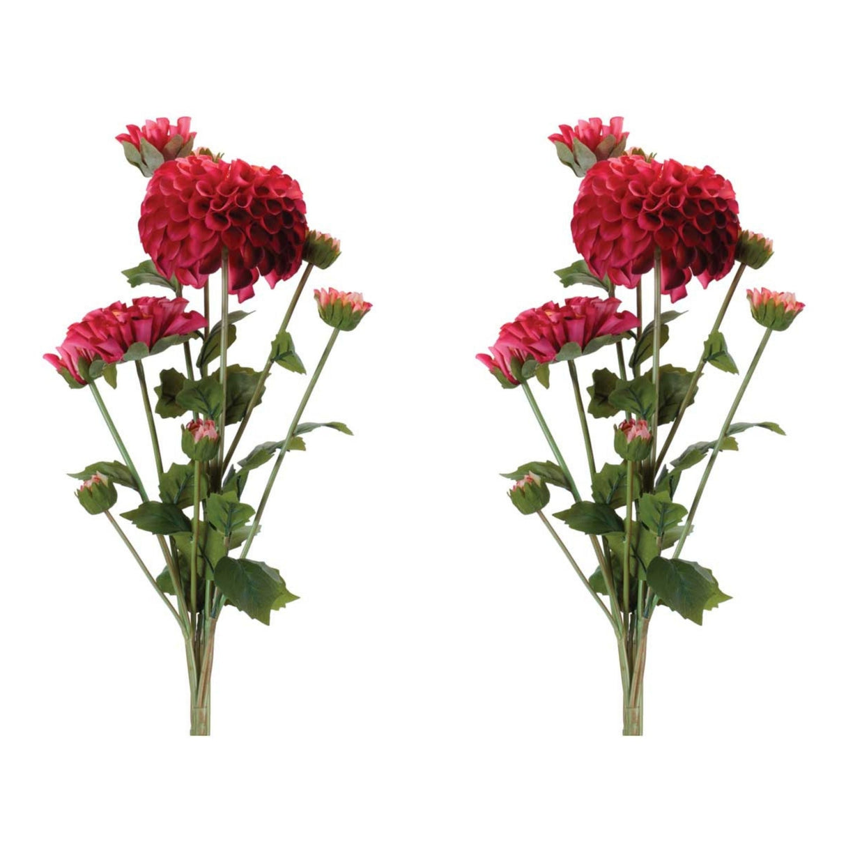 Zinnia Flower Bundle Set - 2