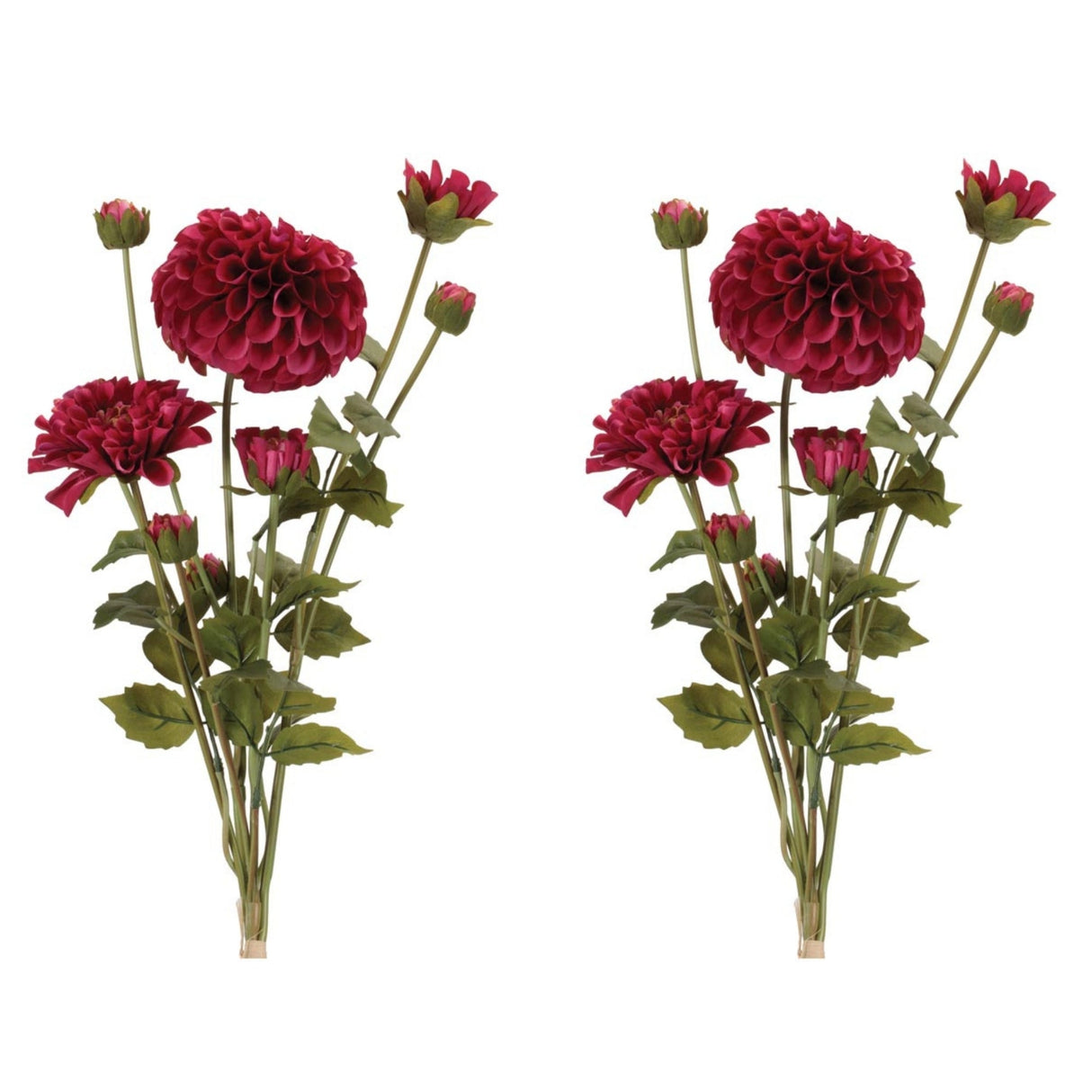 Zinnia Flower Bundle Set 2