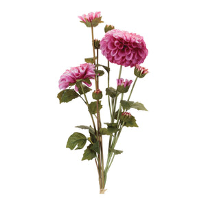 Zinnia Flower Bundle (Set 2)