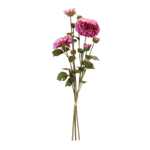 Zinnia Flower Bundle (Set 2)
