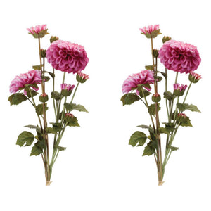 Zinnia Flower Bundle (Set 2)
