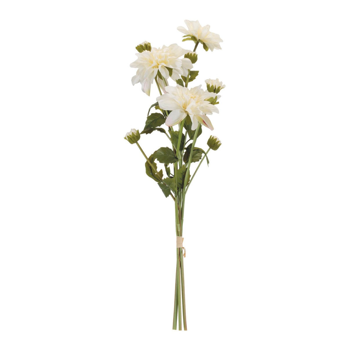 Dahlia Flower Bundle Set of 2