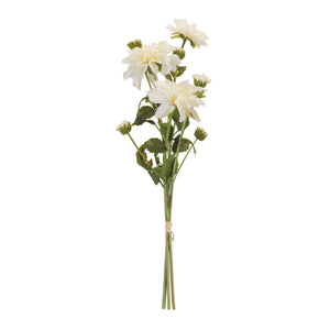 Dahlia Flower Bundle Set of 2