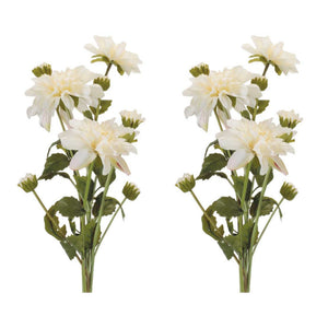 Dahlia Flower Bundle Set of 2