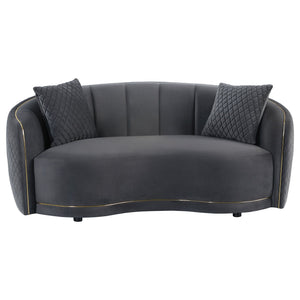 Lorraine - 2 Piece Upholstered Sofa Set With Tufting Trim - Dark Gray