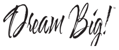 Restonic dream big twin pack bed pillows