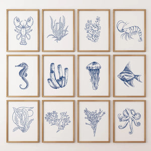 Nautical Modern Marine Life Wall Art. Navy Blue Set of 12