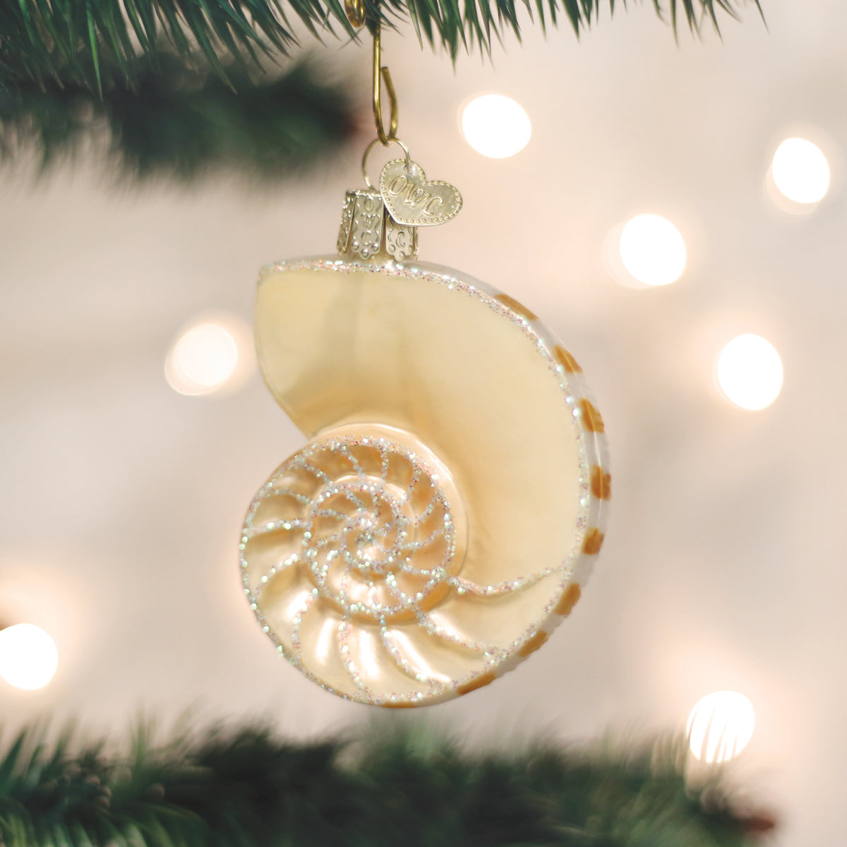 Nautilus Shell Ornament 3.25 x 3 x 3.25