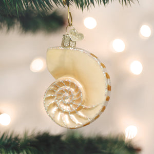 Nautilus Shell Ornament 3.25 x 3 x 3.25