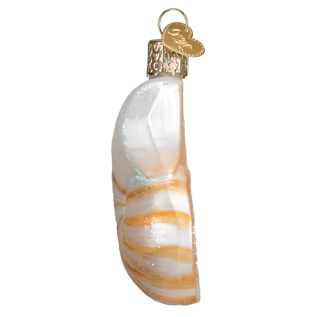 Nautilus Shell Ornament 3.25 x 3 x 3.25