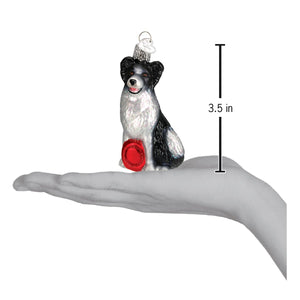 Border Collie Ornament by Old World Christmas