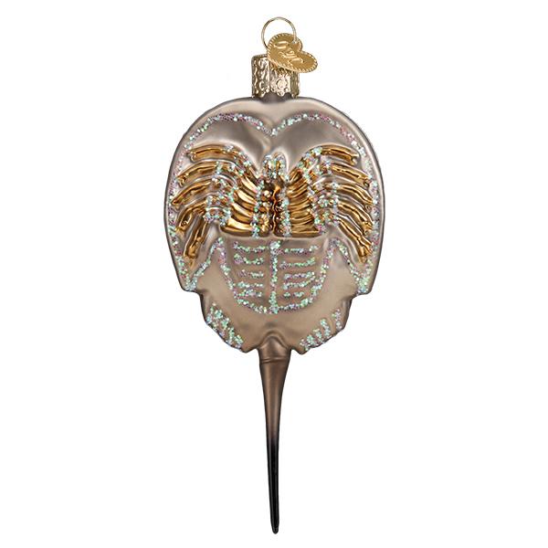 Horseshoe Crab Ornament 1x2x4.75 Inch