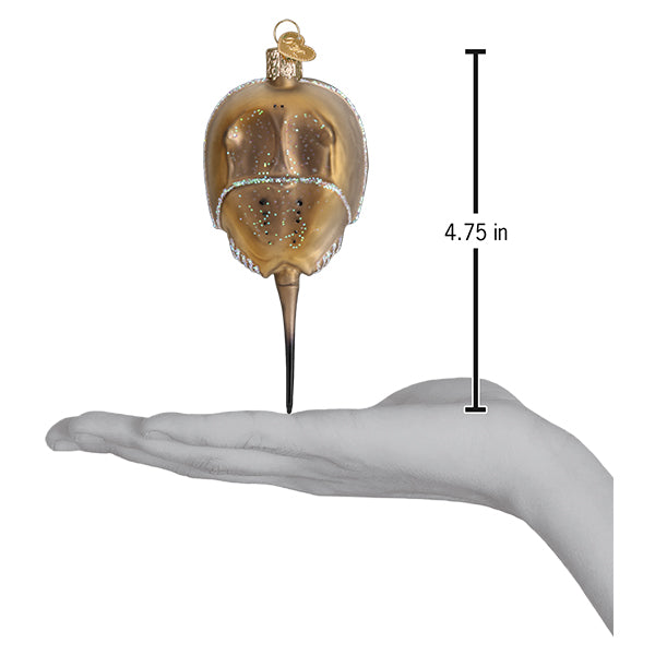 Horseshoe Crab Ornament 1x2x4.75 Inch