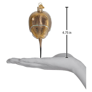 Horseshoe Crab Ornament 1x2x4.75 Inch