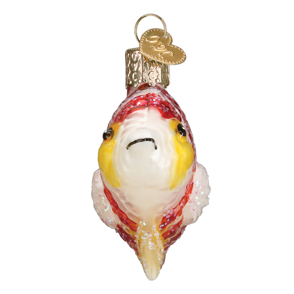 Peppermint Angelfish Ornament 2.75x2.5x1.25