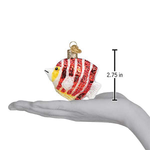 Peppermint Angelfish Ornament 2.75x2.5x1.25