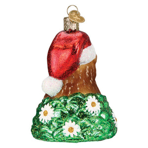 Santa Groundhog Ornament