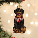 Rottweiler Ornament by Old World Christmas