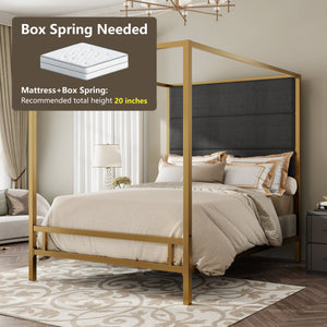Modern Gold Metal Canopy Bed