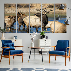 Wild Elk Wall Art Canvas Print – Framed Neutral Wildlife