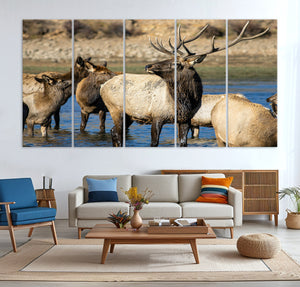 Wild Elk Wall Art Canvas Print – Framed Neutral Wildlife