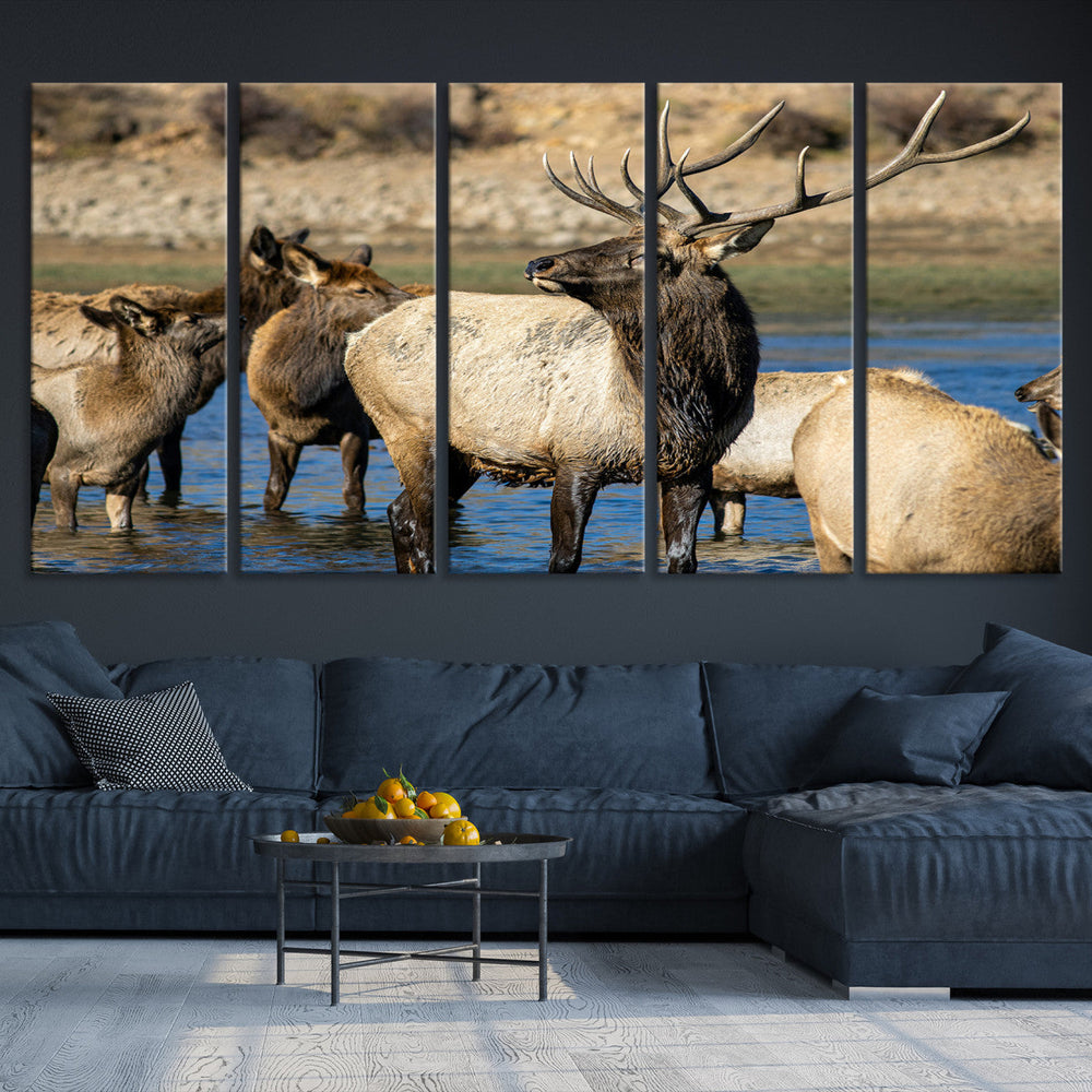 Wild Elk Wall Art Canvas Print – Framed Neutral Wildlife