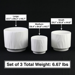 3-Piece White Stoneware Planter Pot Set with Embossed Texture