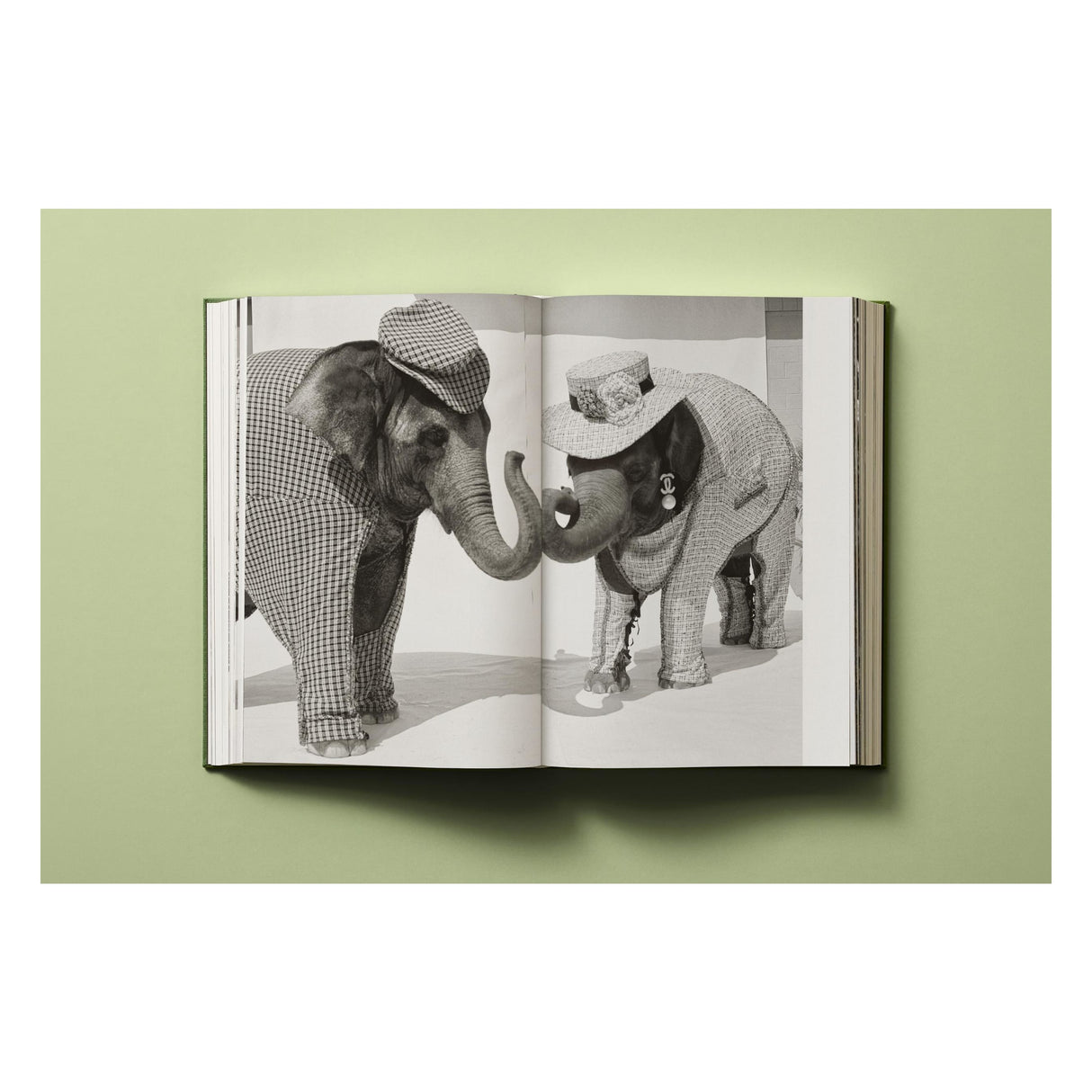 Bruce Weber. My Education (German, French, English)