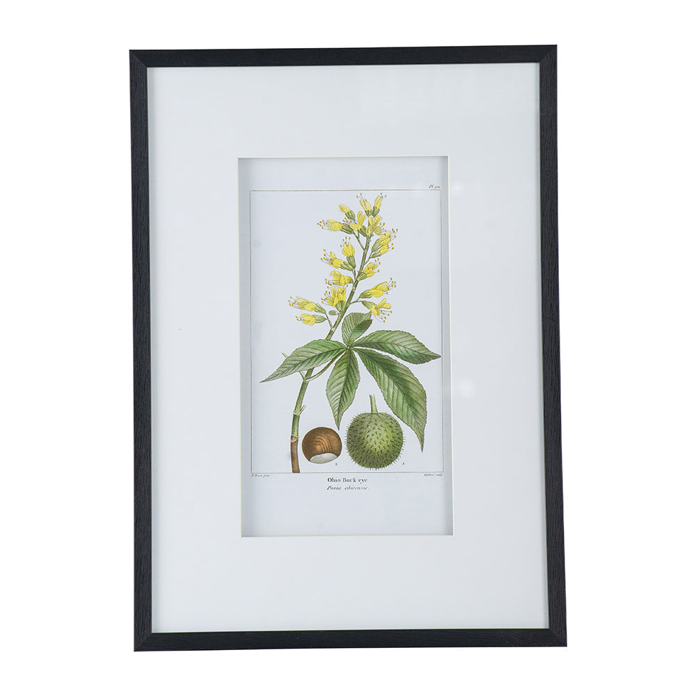 19.7x27.6' Botanical Wall Arts, Set of 2