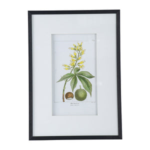 19.7x27.6' Botanical Wall Arts, Set of 2