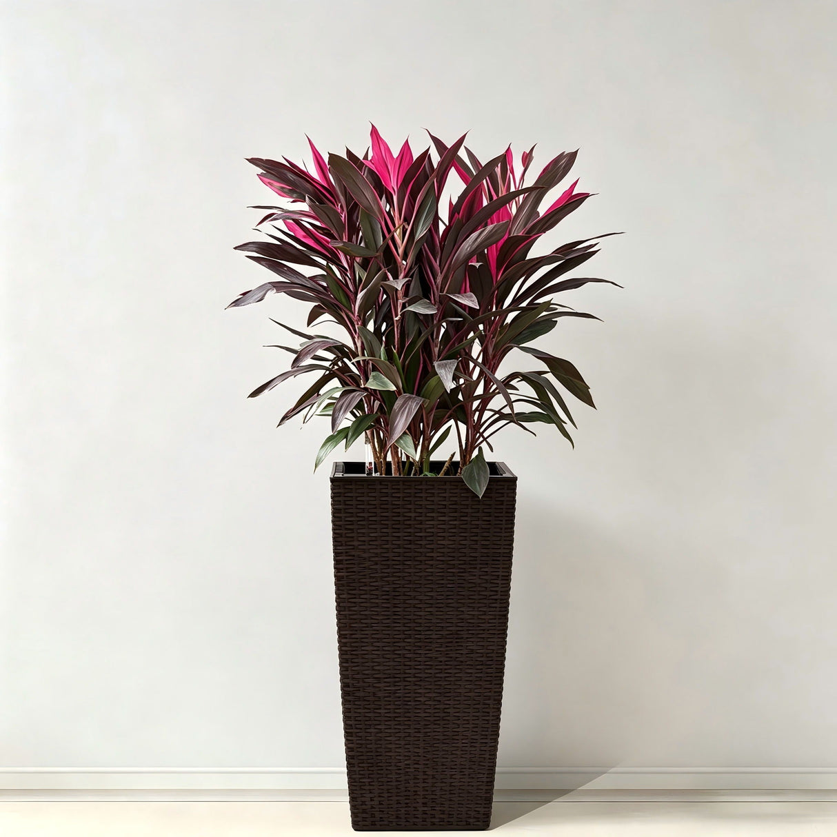 Indoor Outdoor Planter With Automatic Watering System