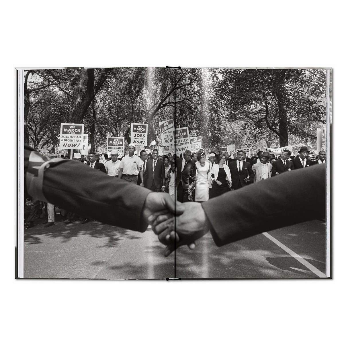 James Baldwin. Steve Schapiro. The Fire Next Time (English)