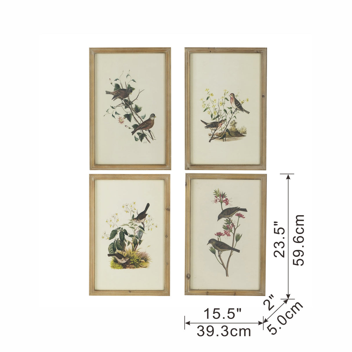 Set of 4 Bird Framed Prints