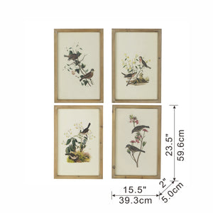 Set of 4 Bird Framed Prints