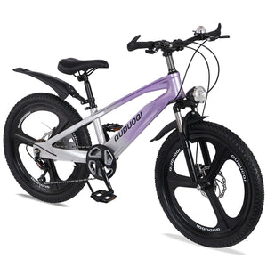 FKZNPJ 20 Inch Kids Mountain Bike