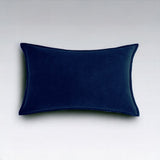 Velvet Throw Pillow  pack of 1, size 12"x20, 18"x18", 20"x20" options, Blue, velvet, 12X20 – Fancy & Stacy