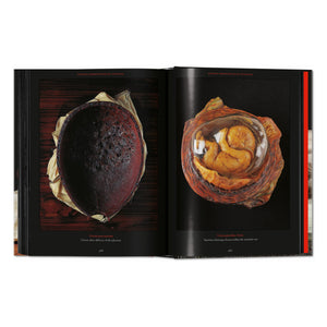 Anatomical Waxes. 45th Ed. (German, French, English)