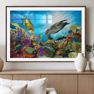 Aquatic Life Sea Turtles Fish Wall Art Canvas Print