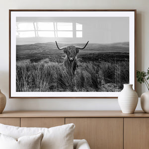 Black and White Highland Cow Canvas Wall Art, Longhorn