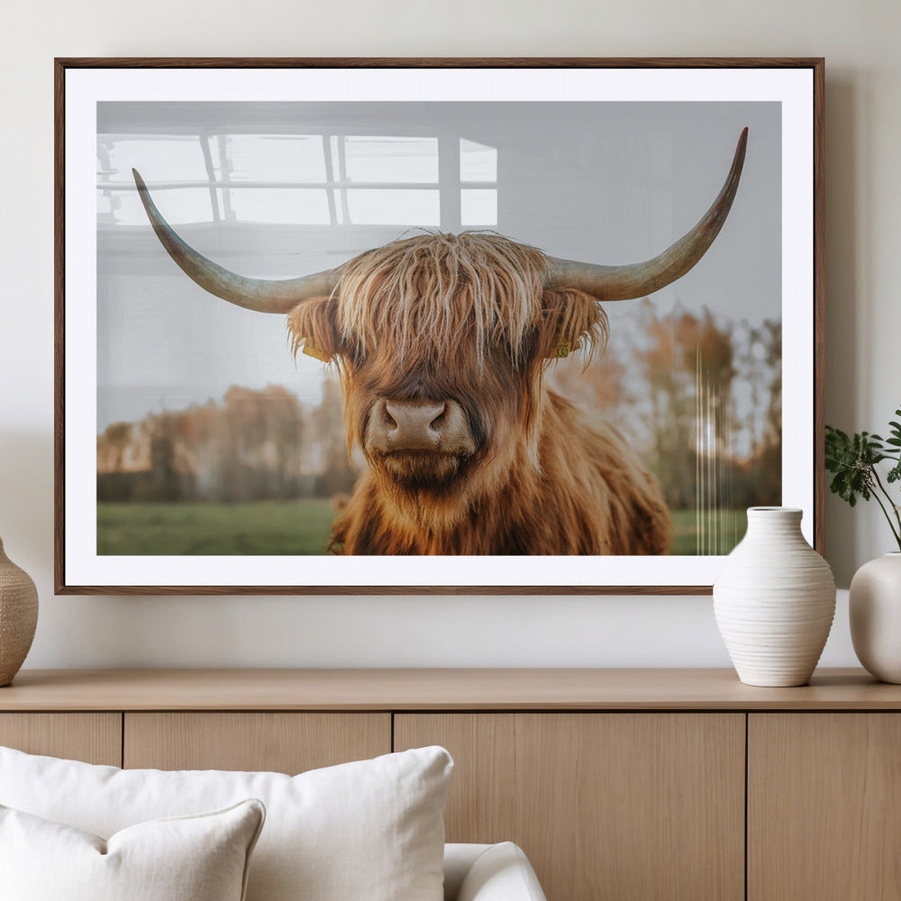 Highland Cow Animal Scottish Cattle Art Print Farmhouse Wall