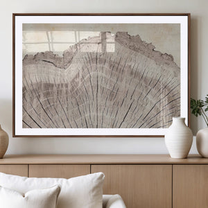 Tree Ring Wall Art Triptych, Rustic Wood Ring Canvas Print,
